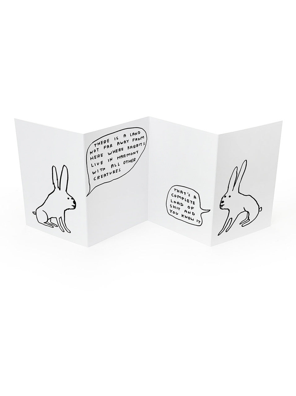 David Shrigley - Concertina Cards (Variety Available)