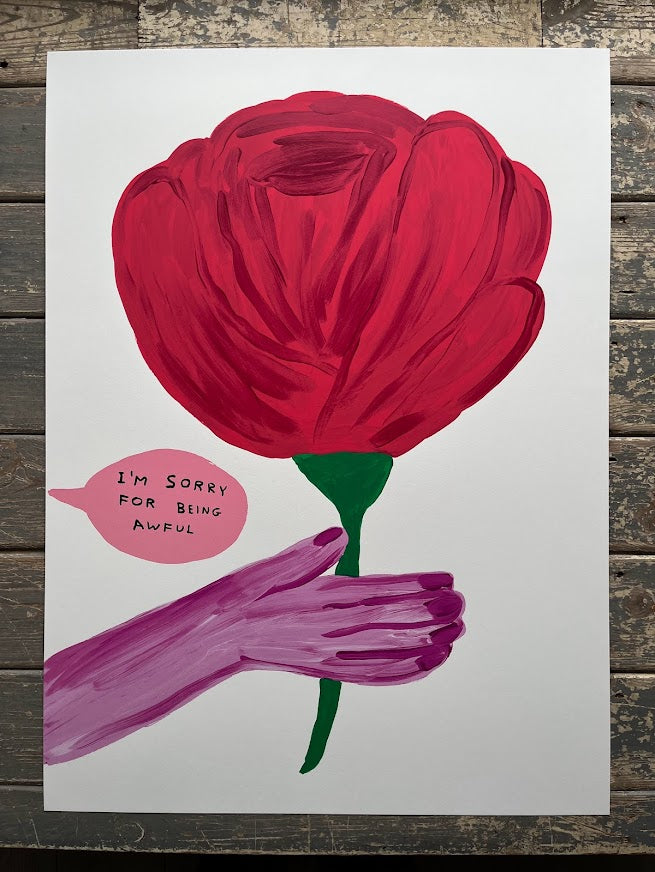 David Shrigley - I'm Sorry For Being Awful