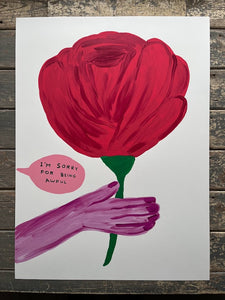 David Shrigley - I'm Sorry For Being Awful