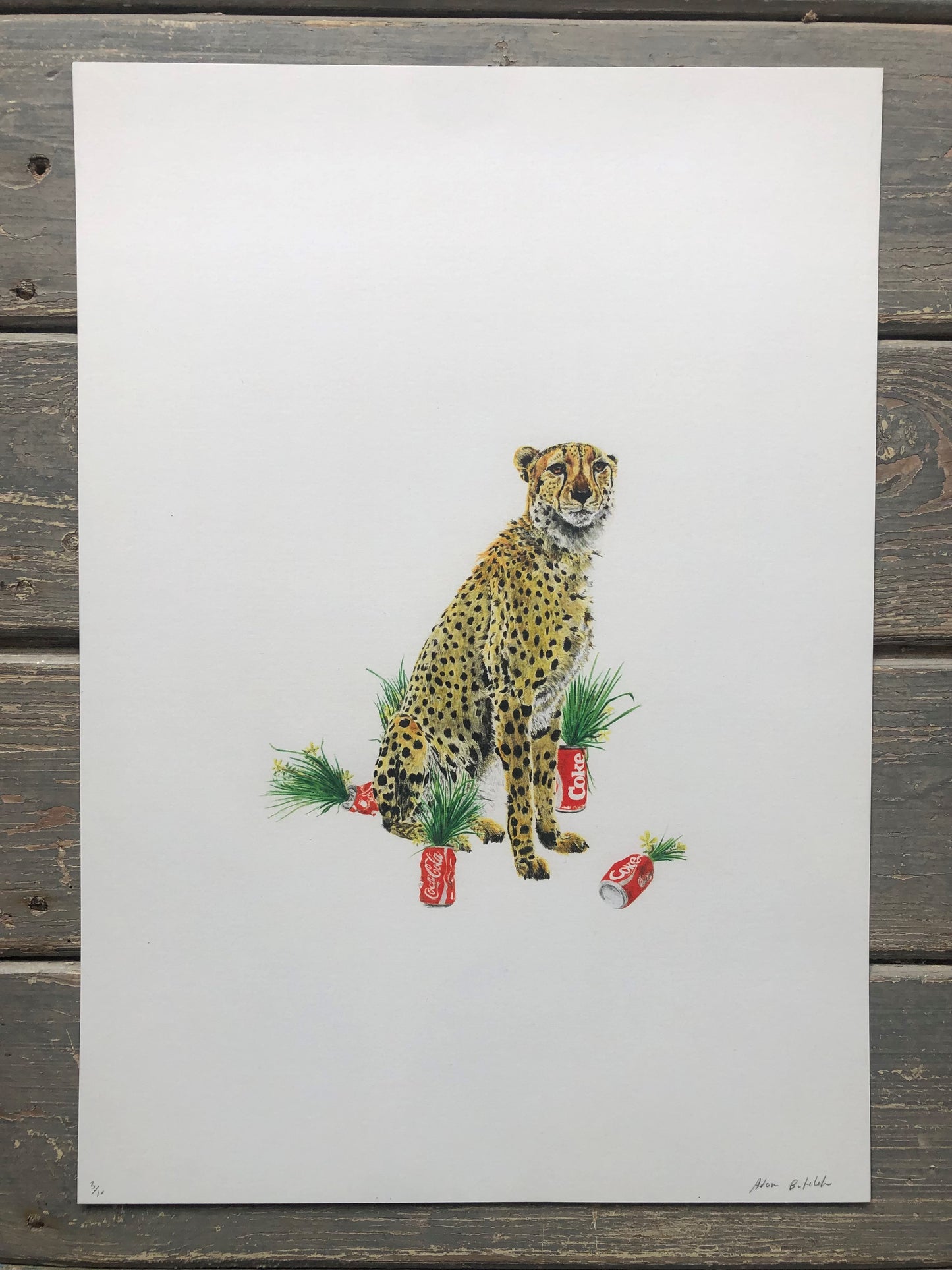 Adam Batchelor - Print Collection