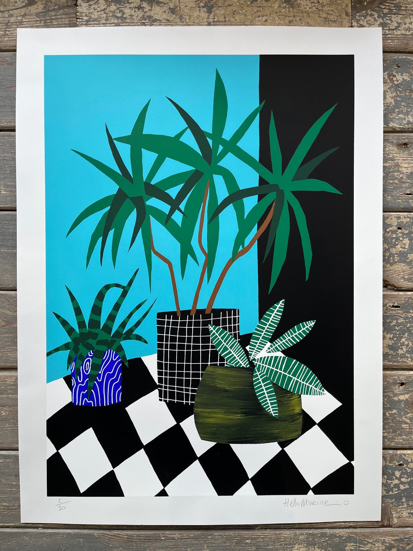 HelloMarine - Salade (Hand-Finished Screenprint)