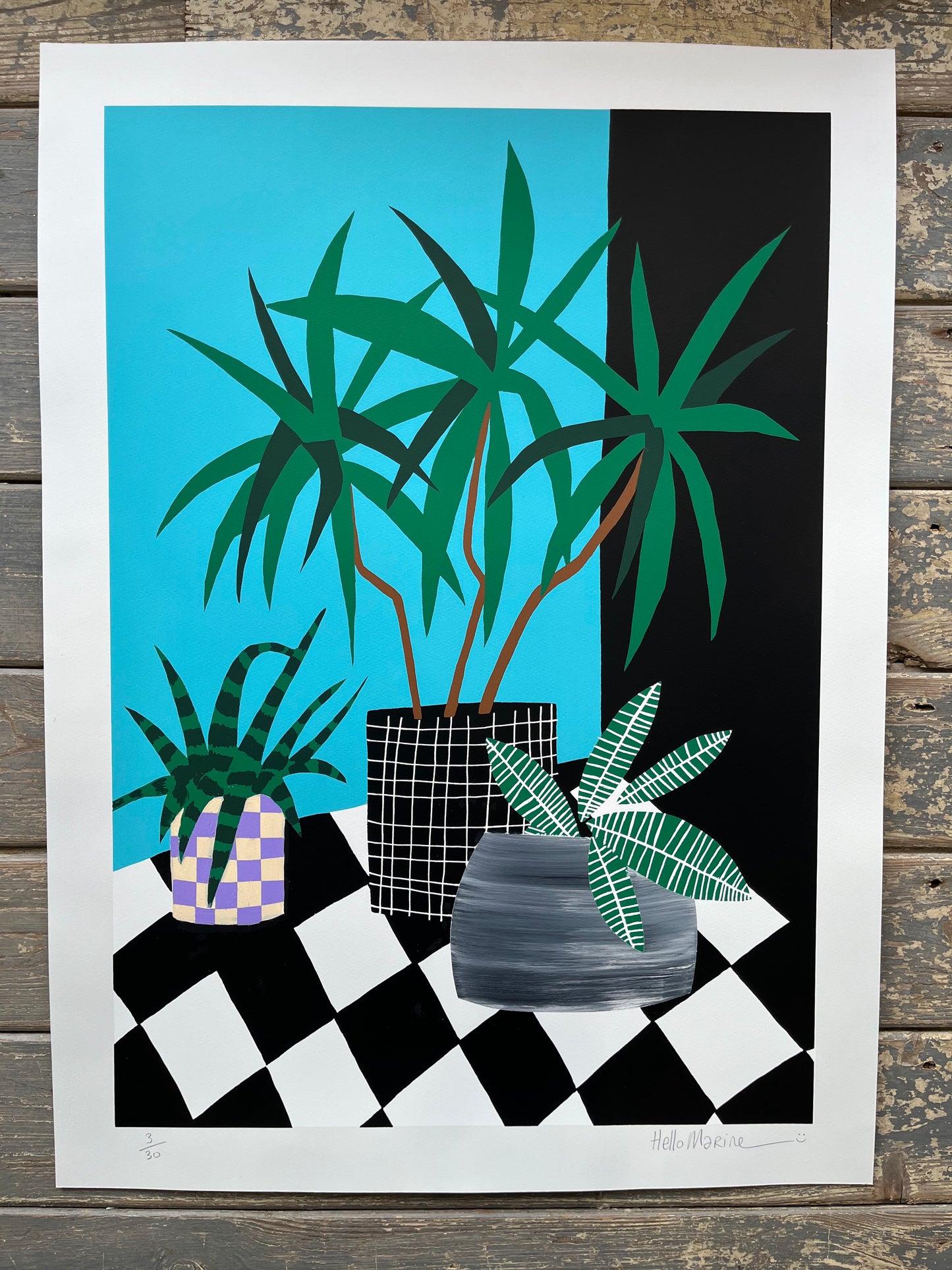 HelloMarine - Salade (Hand-Finished Screenprint)