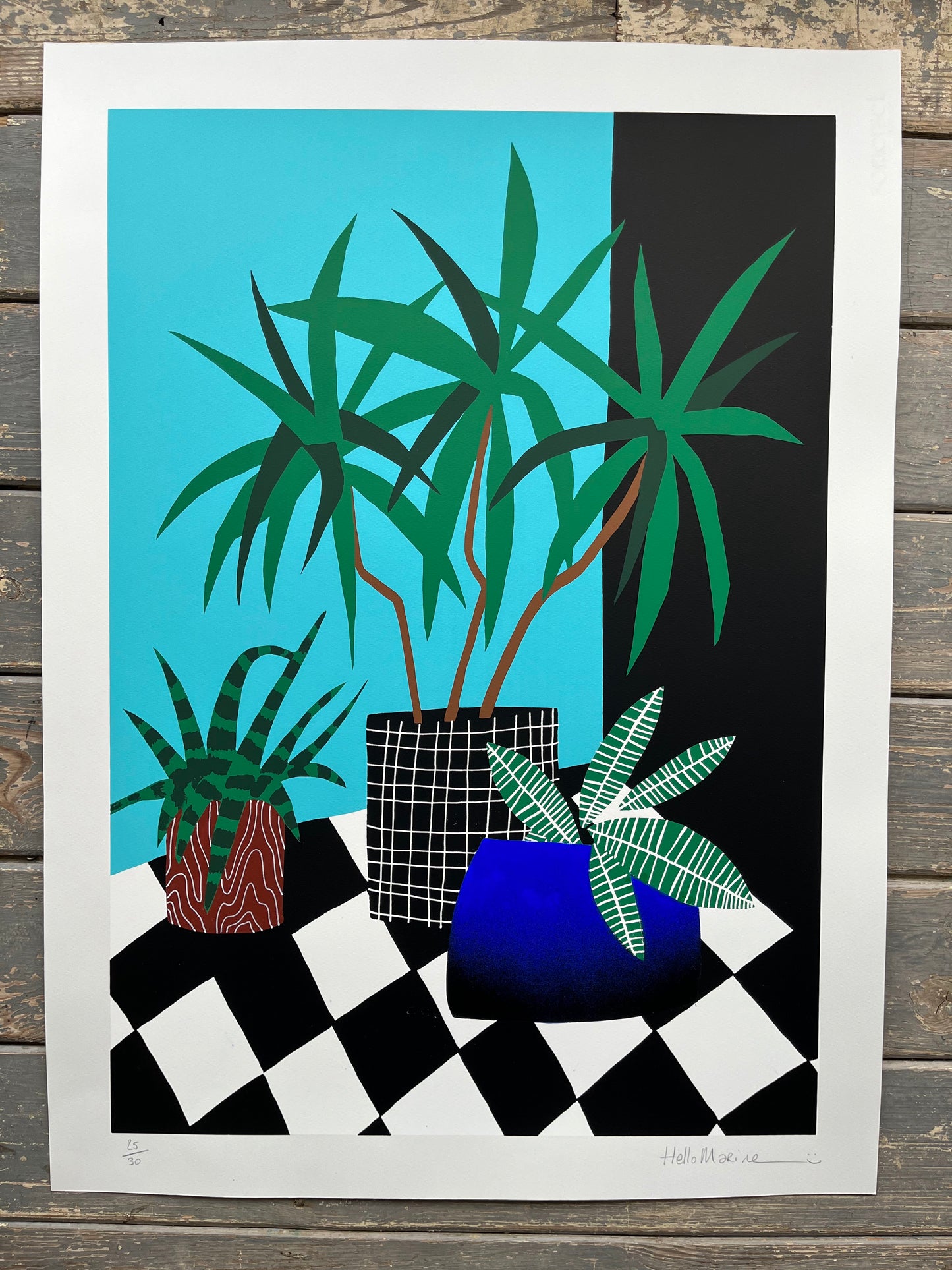 HelloMarine - Salade (Hand-Finished Screenprint)