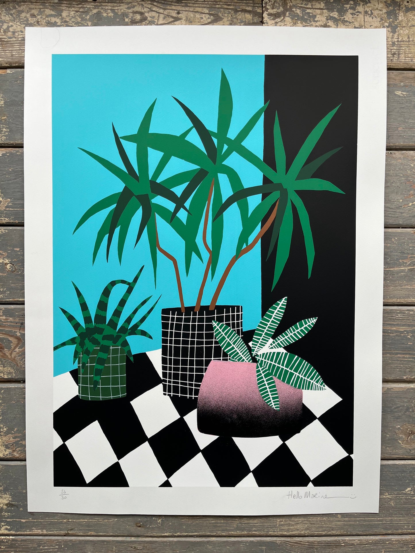 HelloMarine - Salade (Hand-Finished Screenprint)