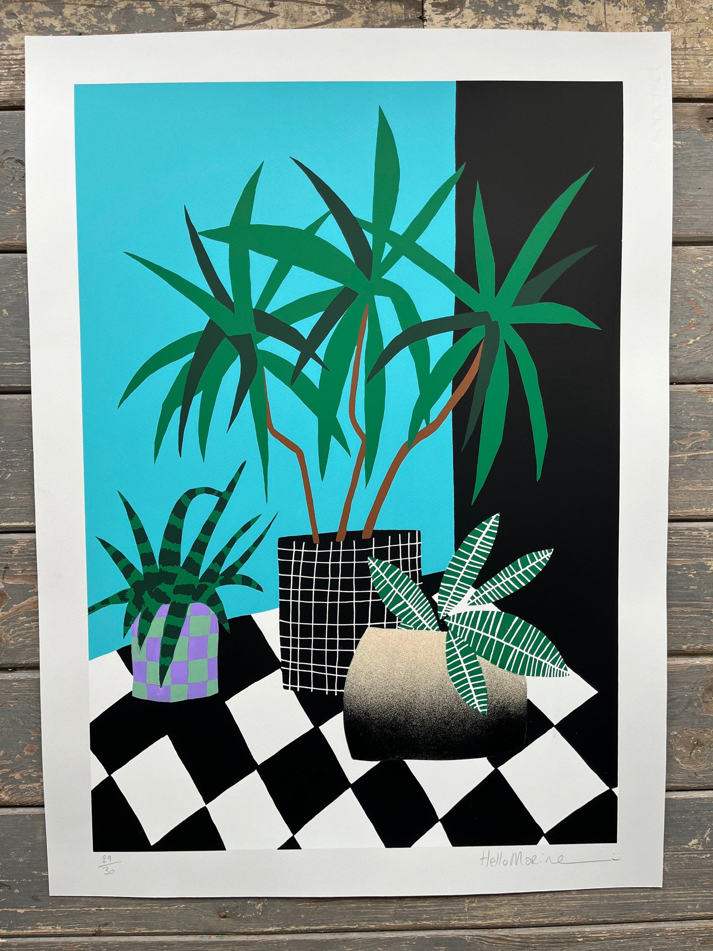 HelloMarine - Salade (Hand-Finished Screenprint)