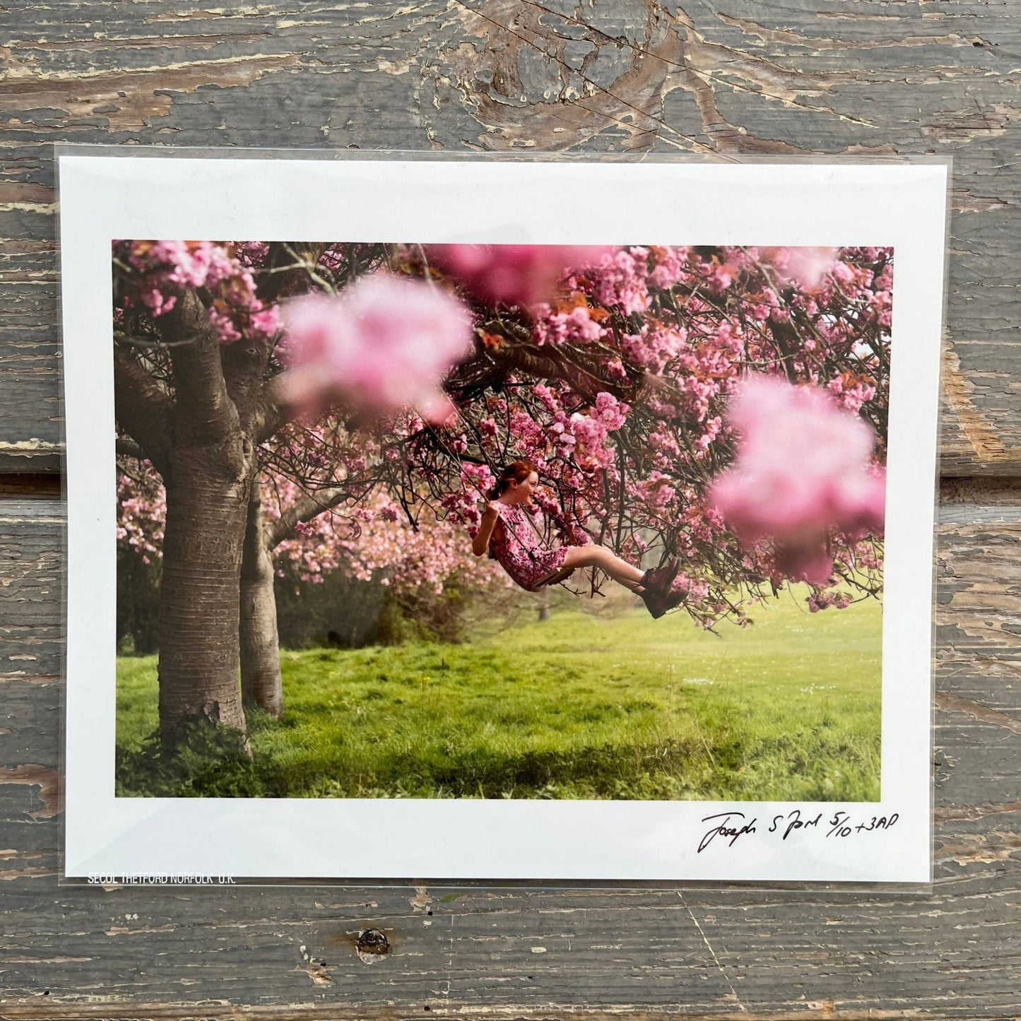Joseph Ford - Signed Invisible Jumpers Book (With Signed 'Cherry Blossom Swing' Print)