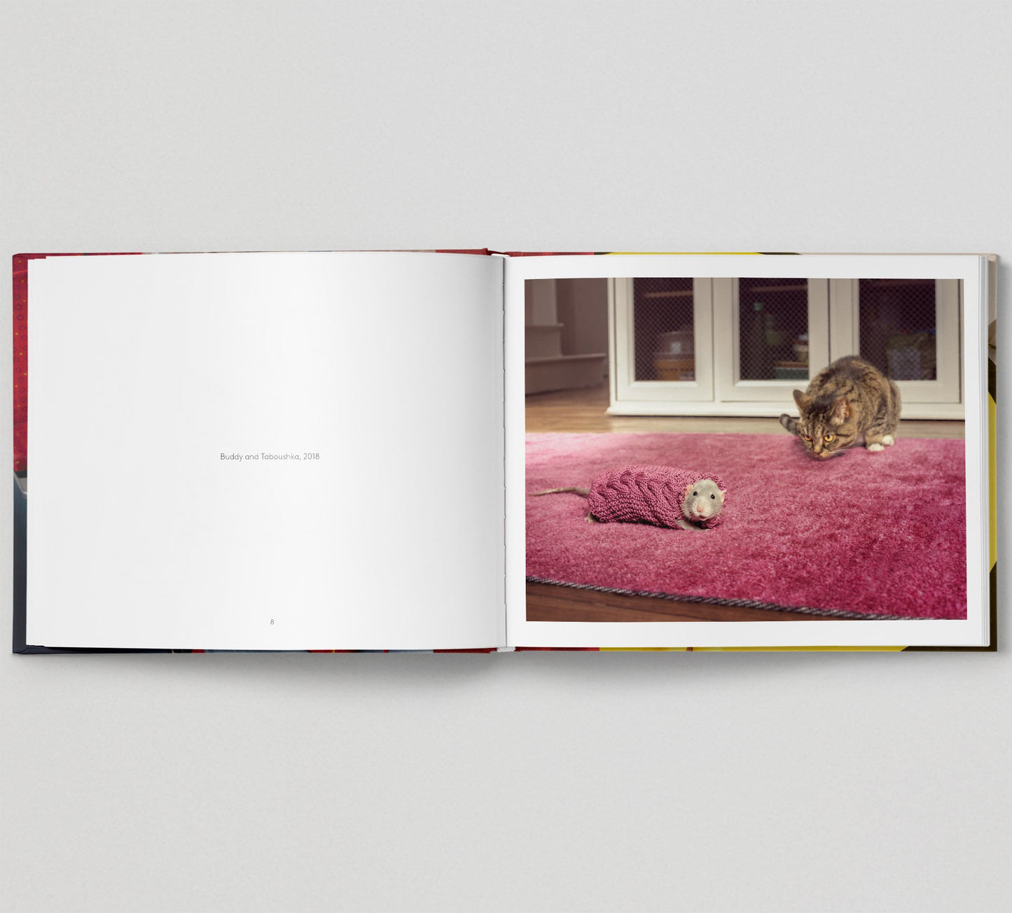 Joseph Ford - Invisible Jumpers Book (Signed)