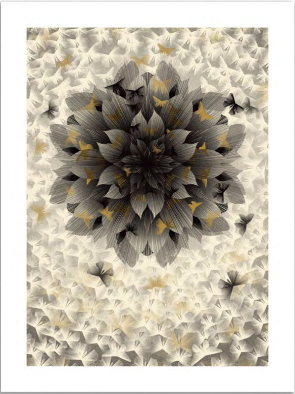 Kai and Sunny -Just an Illusion 2-Gold