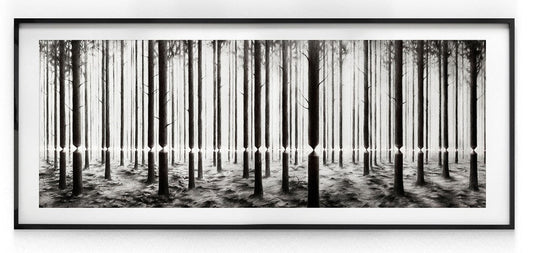 Pejac - Linea - Signed Lenticular Street Art Print