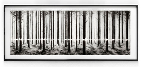 Pejac - Linea - Signed Lenticular Street Art Print
