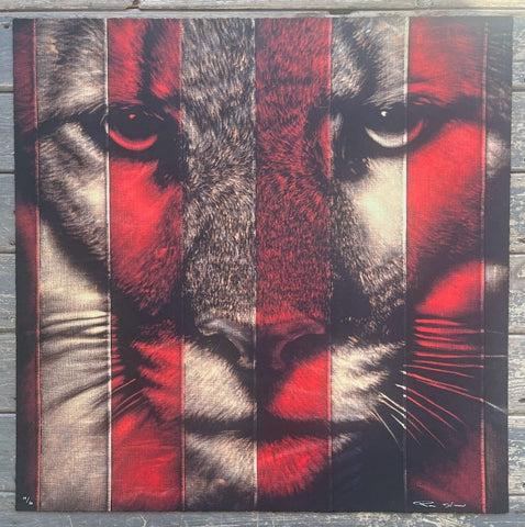 Pam Glew - Puma
