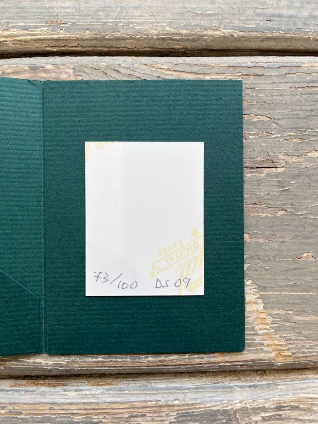 David Shrigley - Passport Photo #2