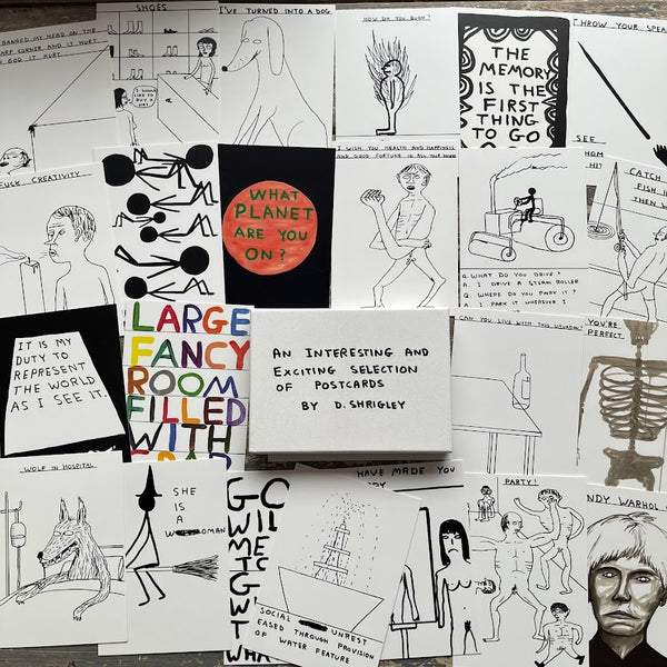David Shrigley - Postcard Set (An Interesting And Exciting Selection Of Postcards) (Rare! from 2013)