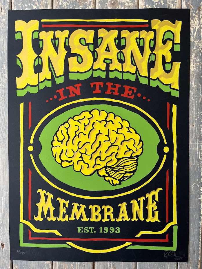 RYCA (Ryan Callanan) - Insane In The Membrane