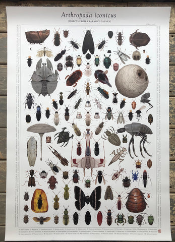 Richard Wilkinson -  Arthropoda Iconicus Poster SIGNED! - (Star Wars Insects - A1 )