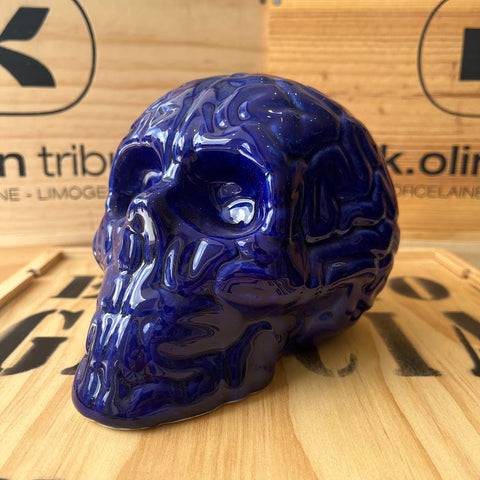 Emilio Garcia - Skull Brain (Bleu De Four Porcelain)