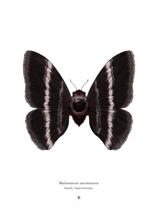 Richard Wilkinson - Malumavem Zweimotoria (Tie Fighter) - (Star Wars Insects - A2 Print)