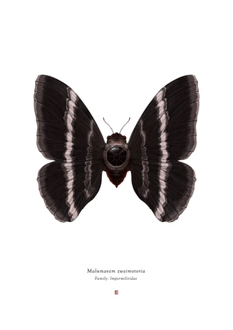 Richard Wilkinson - Malumavem Zweimotoria (Tie Fighter) - (Star Wars Insects - A2 Print)