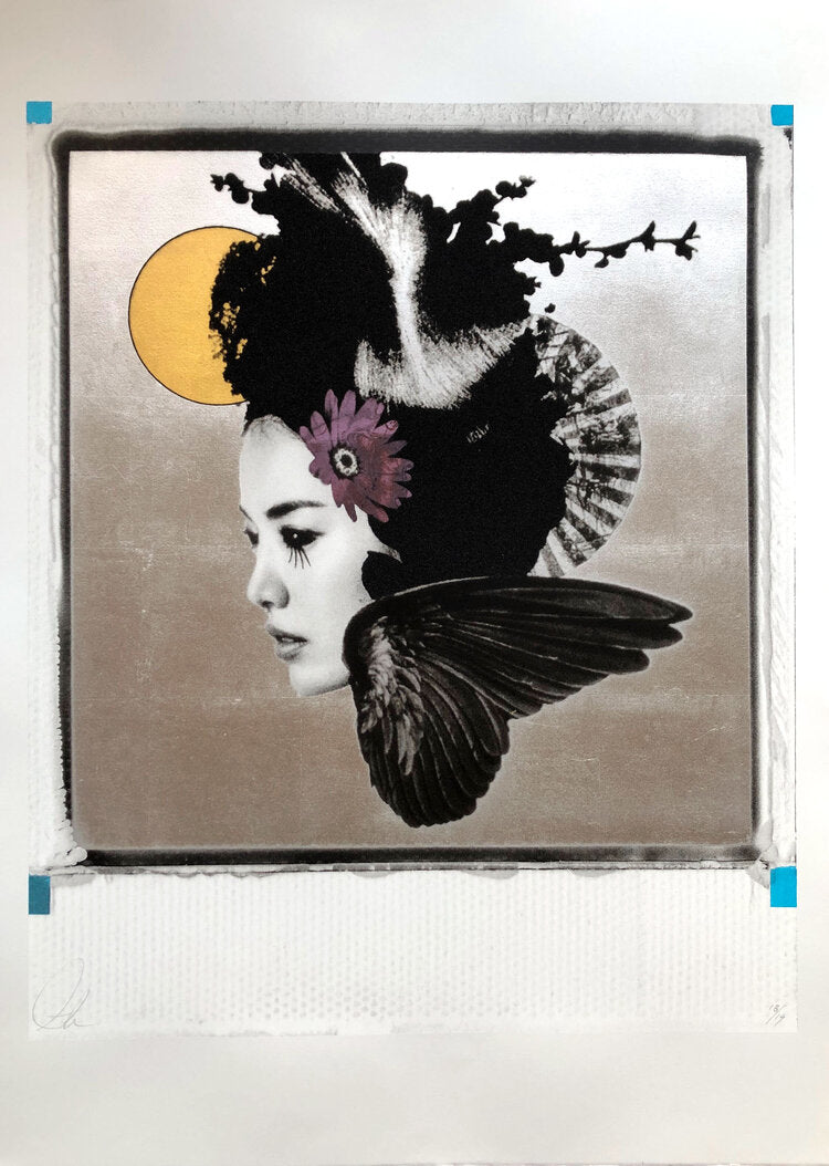 Andrew Millar The Flowers Whirl Away