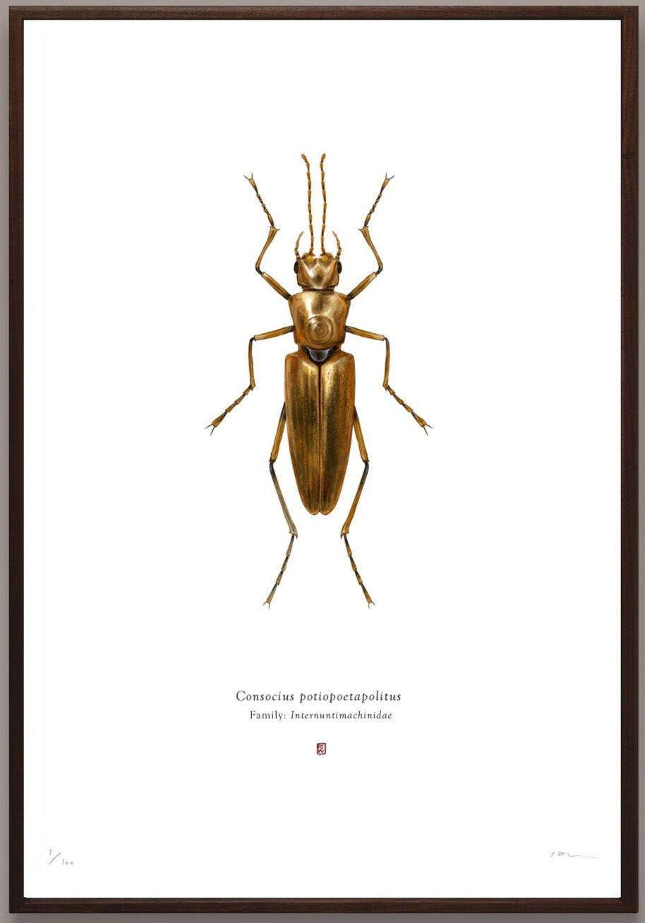 Richard Wilkinson - Consocius Potiopoetapolitus (C3PO) - (Star Wars Insects - A2 Print)