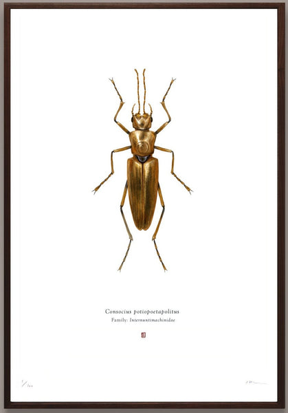 Richard Wilkinson - Consocius Potiopoetapolitus (C3PO) - (Star Wars Insects - A2 Print)