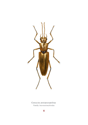 Richard Wilkinson - Consocius Potiopoetapolitus (C3PO) - (Star Wars Insects - A2 Print)