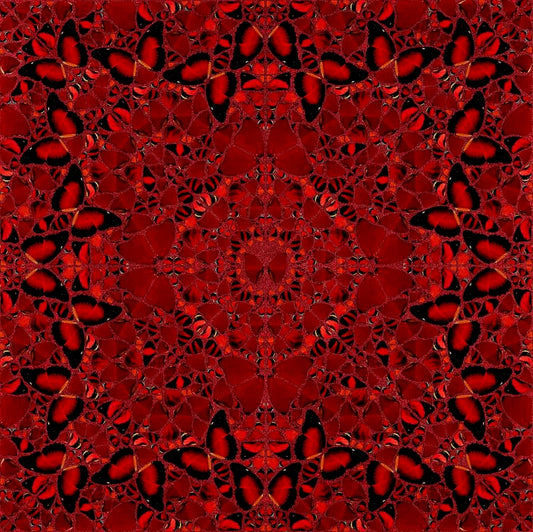 Damien Hirst - H10-2 Nūr Jahān (The Empresses)