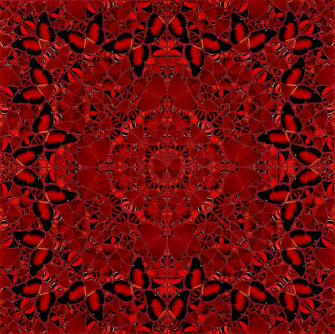 Damien Hirst - H10-2 Nūr Jahān (The Empresses)