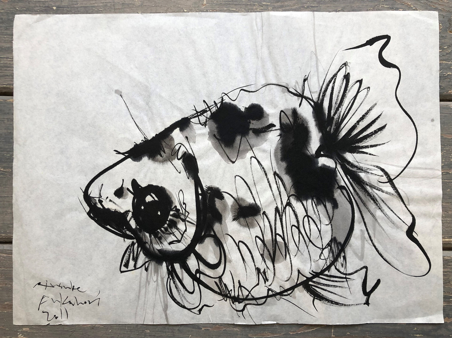 Riusuke Fukahori - Goldfish Sketch