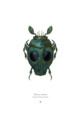 Richard Wilkinson - Glaucus Trahaxo (Greedo) - (Star Wars Insects - A2 Print)