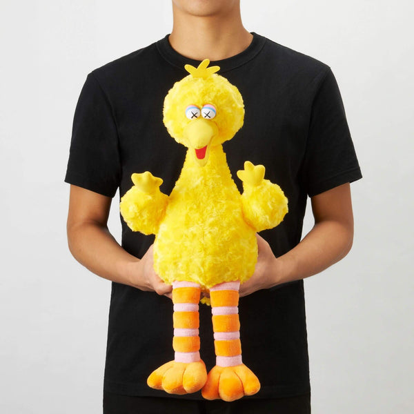 Kaws x Seasame Street - Big Bird Toy