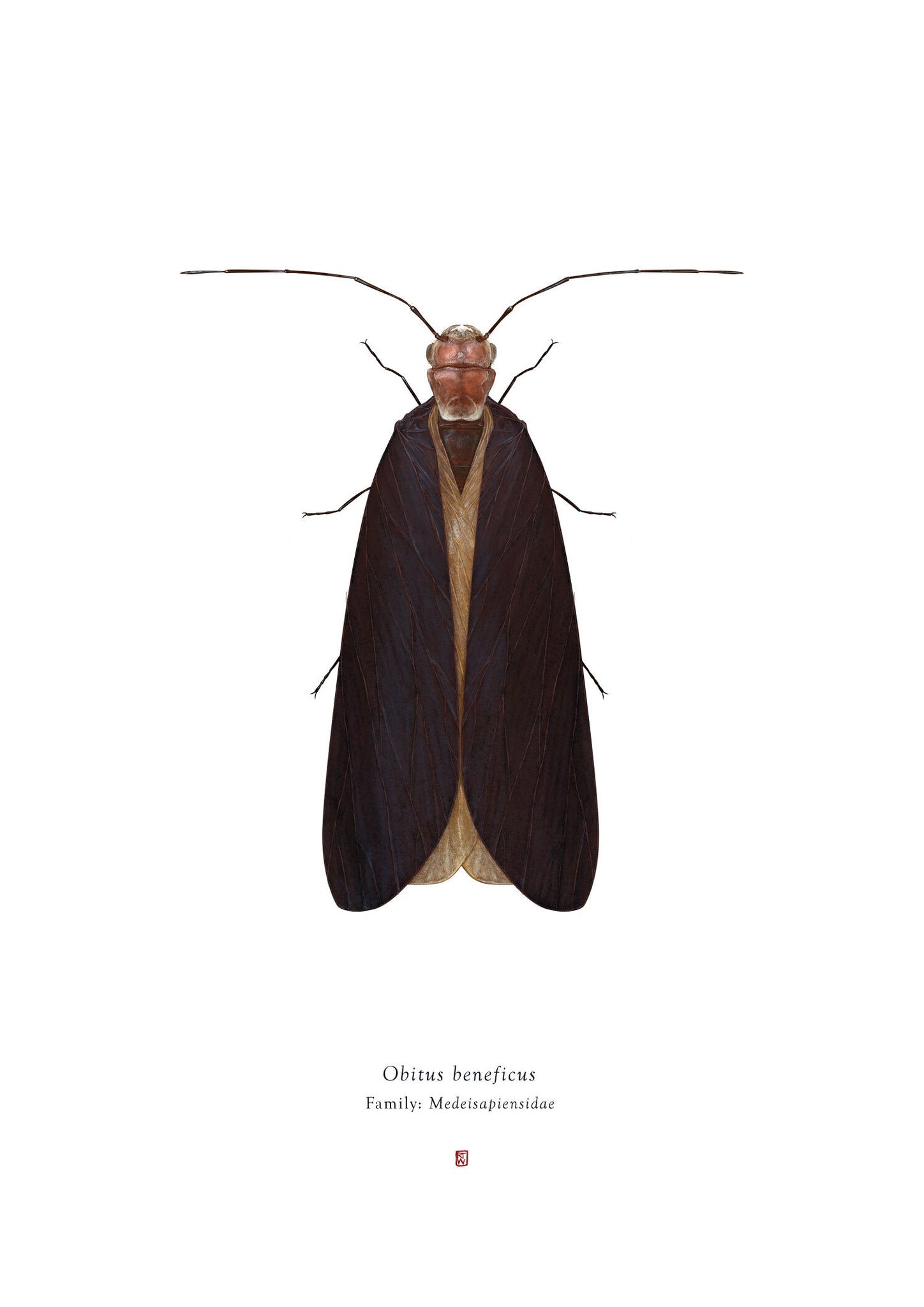 Richard Wilkinson -  Obitus Beneficus (Obi Wan Kenobi) - (Star Wars Insects - A2 Print)