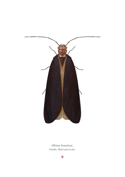 Richard Wilkinson -  Obitus Beneficus (Obi Wan Kenobi) - (Star Wars Insects - A2 Print)