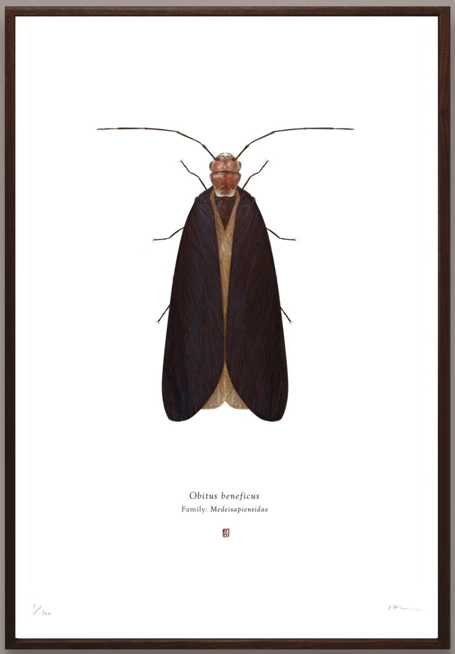 Richard Wilkinson -  Obitus Beneficus (Obi Wan Kenobi) - (Star Wars Insects - A2 Print)