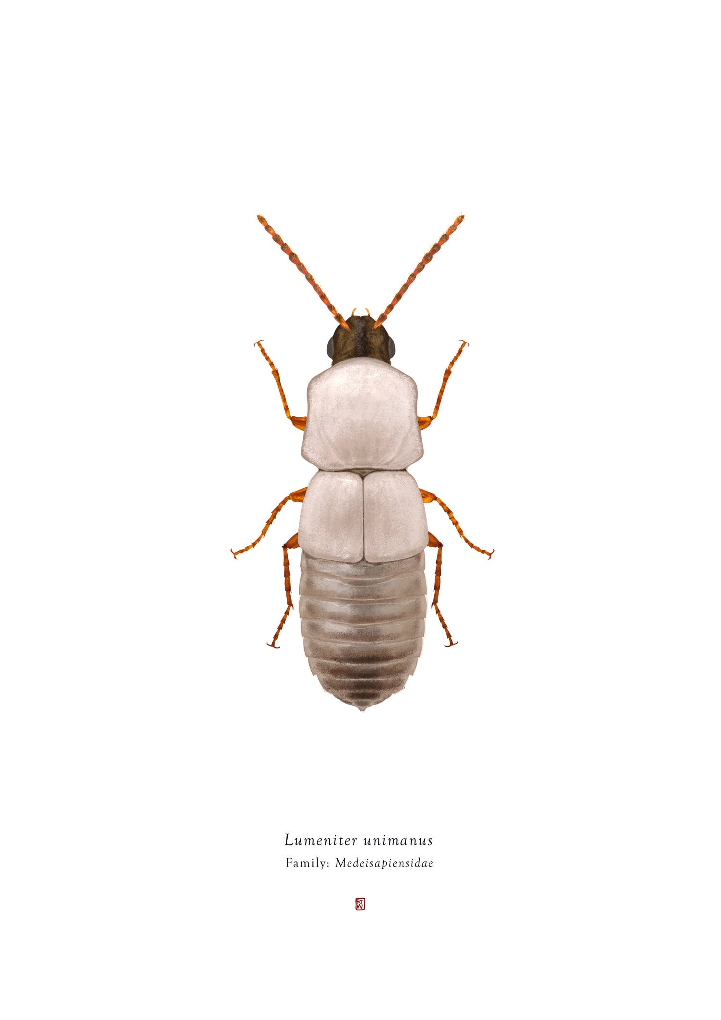Richard Wilkinson - Lumeniter Unimanus (Luke Skywalker) - (Star Wars Insects - A2 Print)