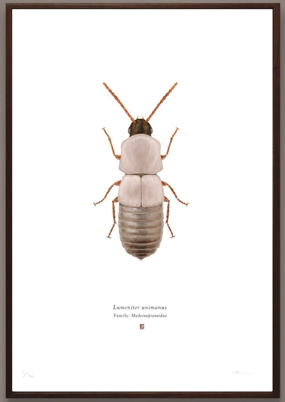 Richard Wilkinson - Lumeniter Unimanus (Luke Skywalker) - (Star Wars Insects - A2 Print)