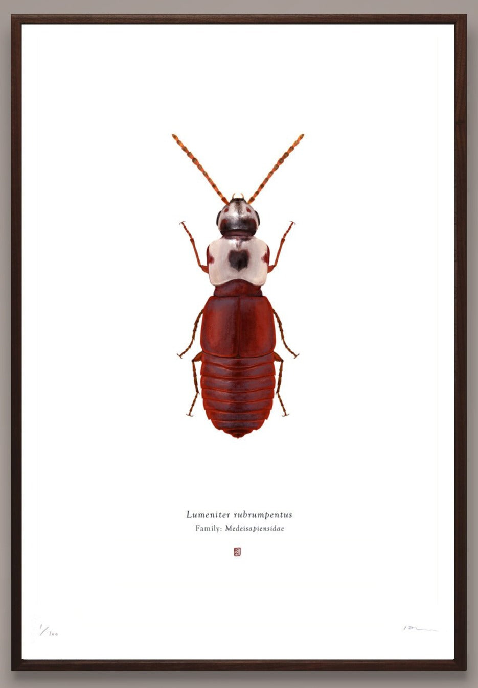 Richard Wilkinson - Lumeniter Rubrumpentus (Luke X Wing Pilot) - (Star Wars Insects - A2 Print)