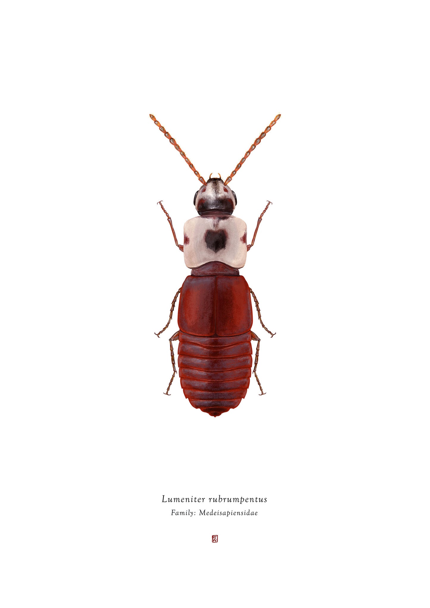 Richard Wilkinson - Lumeniter Rubrumpentus (Luke X Wing Pilot) - (Star Wars Insects - A2 Print)