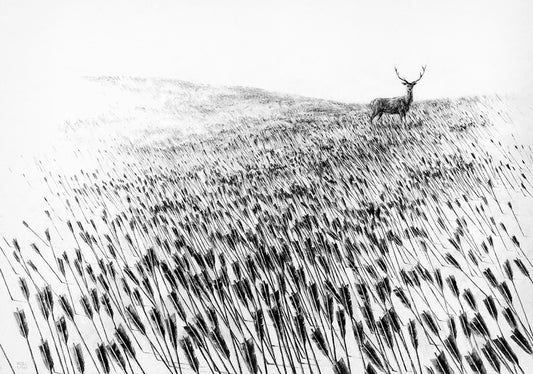 Pejac - Meadow 