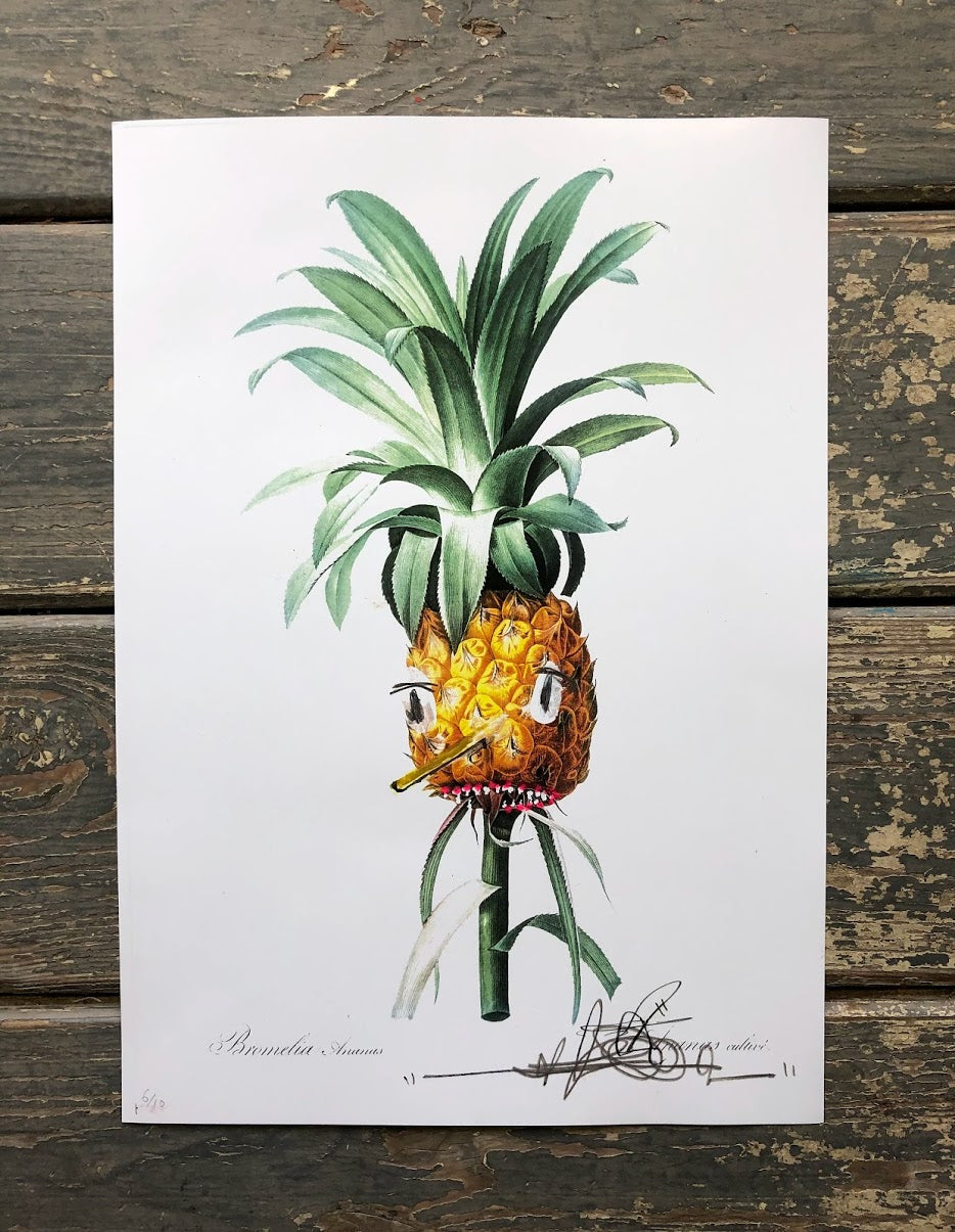 Stevie Unknown Pineapplez