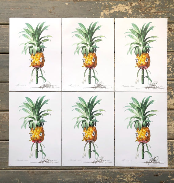 Stevie Unknown - Pineapple (Hand-Finished Print)