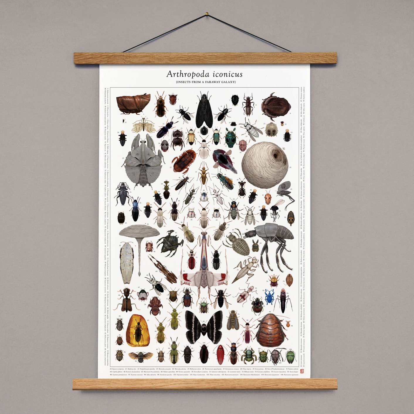 Richard Wilkinson -  Arthropoda Iconicus Poster SIGNED! - (Star Wars Insects - A1 )