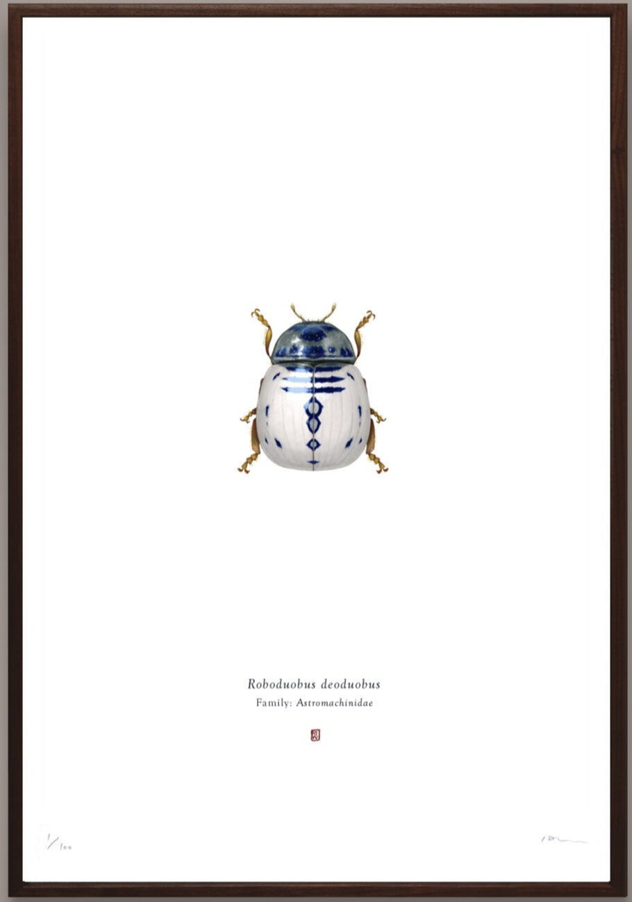 Richard Wilkinson - Roboduobus Deodubus (R2 D2) - (Star Wars Insects - A2 Print)