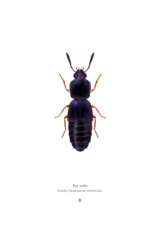 Richard Wilkinson - Ego Solus (Han Solo) - (Star Wars Insects - A2 Print)