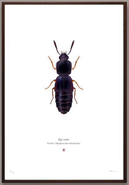 Richard Wilkinson - Ego Solus (Han Solo) - (Star Wars Insects - A2 Print)