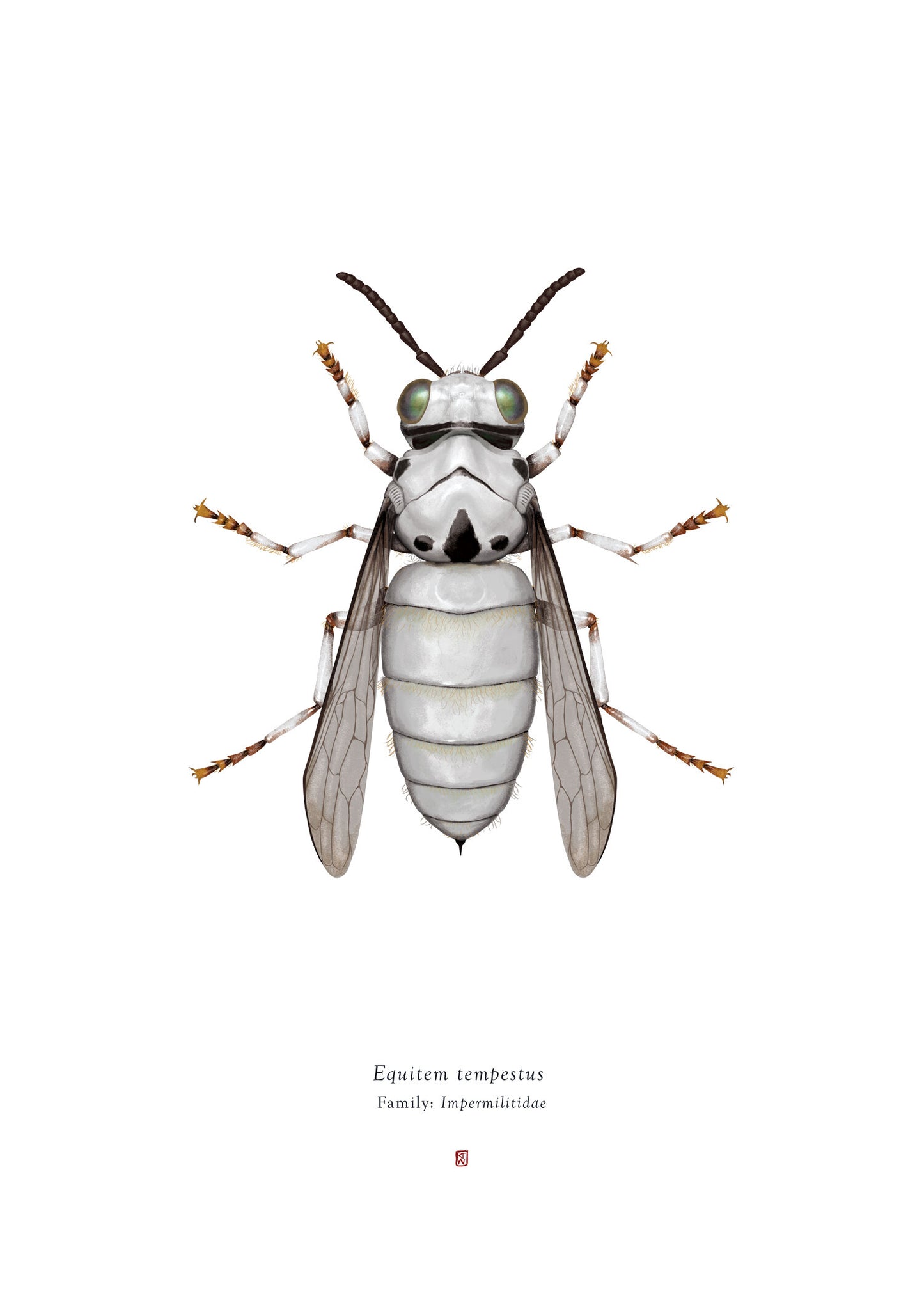 Richard Wilkinson - Equitem Tempestus (Storm Trooper) (Star Wars Insects - A2 Print)