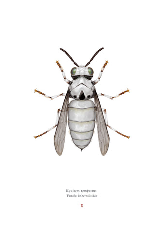 Richard Wilkinson - Equitem Tempestus (Storm Trooper) (Star Wars Insects - A2 Print)