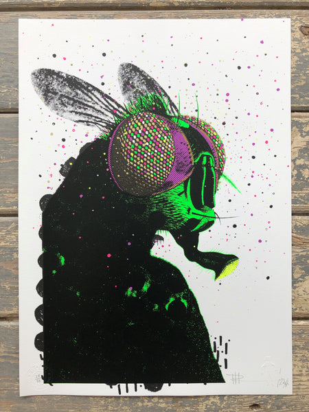 Paul Insect - Unclear Residents Box Set